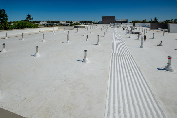 Best 4 Ply Roofing  in Vermilion, OH